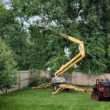 Best Tree Disease Treatment  in Cochranton, PA