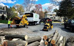 Best Seasonal Cleanup (Spring/Fall)  in Cochranton, PA