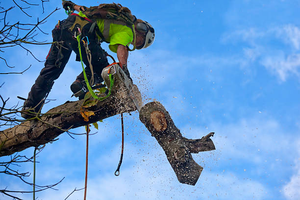 Best Mulching Services  in Cochranton, PA